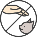 animal icon