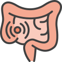 intestinos icon