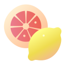 fruta icon