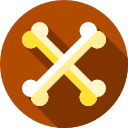 huesos icon