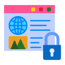 seguridad web icon