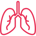 pulmones icon