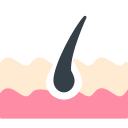 Tissue 