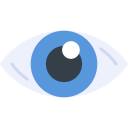 ojo icon