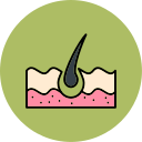 Tissue 
