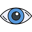 ojo icon