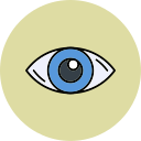 ojo icon