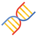 adn