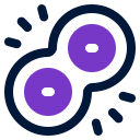 mitosis icon