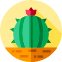 cactus icon