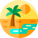 oasis icon