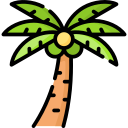 Árbol de coco icon