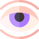 ojo icon