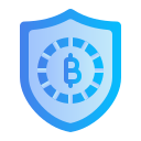 seguridad icon