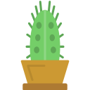 cactus icon