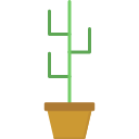 cactus icon