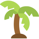 palmera icon