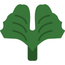 gingko icon