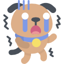 cão 