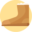 bota icon