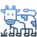 vaca icon