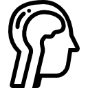 cerebro humano icon