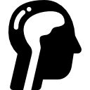 cerebro humano icon