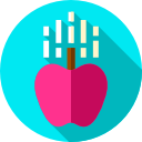 manzana icon