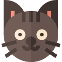 gato icon