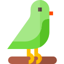 pájaro icon