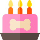 pastel de cumpleaños icon