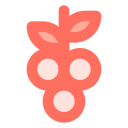 fruta icon