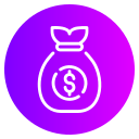 bolsa de dinero icon