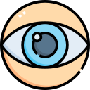 ojo icon