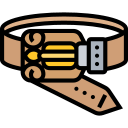 cinturón icon