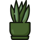 sansevieria icon