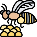 abeja icon