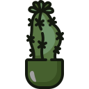 cactus luna