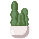 cactus columnar azul icon