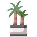 palmera