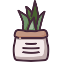 sansevieria icon