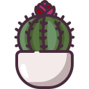 cactus icon