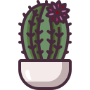 cactus icon