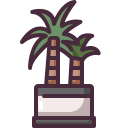 palmera icon