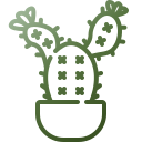 cactus icon