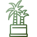 palmera icon