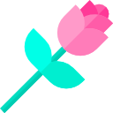 rosa icon