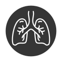 Lungs icon