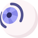 ojo icon