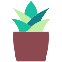 aloe vera icon